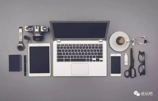 紙玩時刻 情人節(jié)生存指南